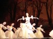 Фото Спящая красавица (Театр детского балета)
